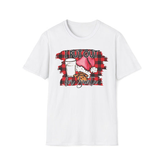 Christmas DTG Softstyle Tee "I put out for Santa"
