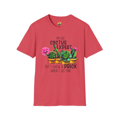 Know A Prick When I See One Graphic T-Shirt | Funny Sarcastic Cactus Tee by Subbin4Sanity
