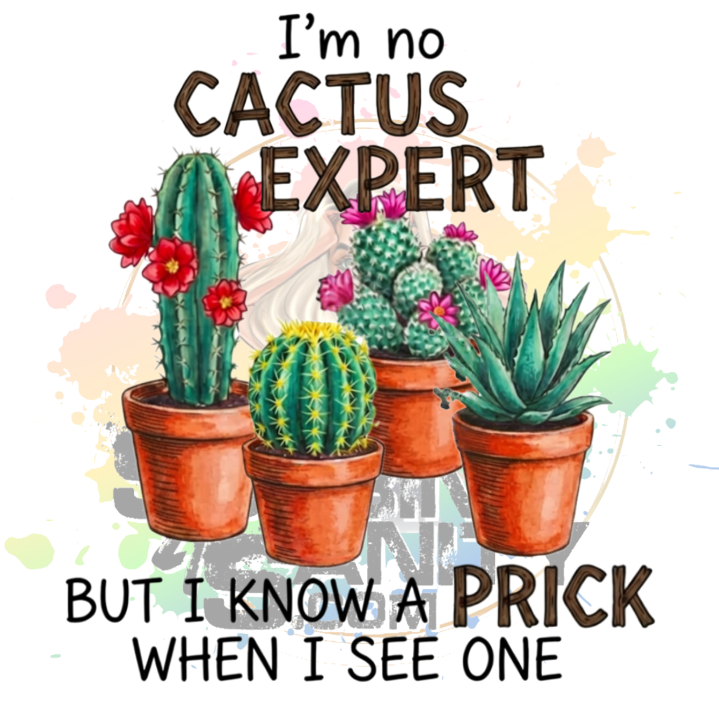 Im No Cactus Expert But I Know A Prick When I See One Original PNG Design By Subbin4Sanity